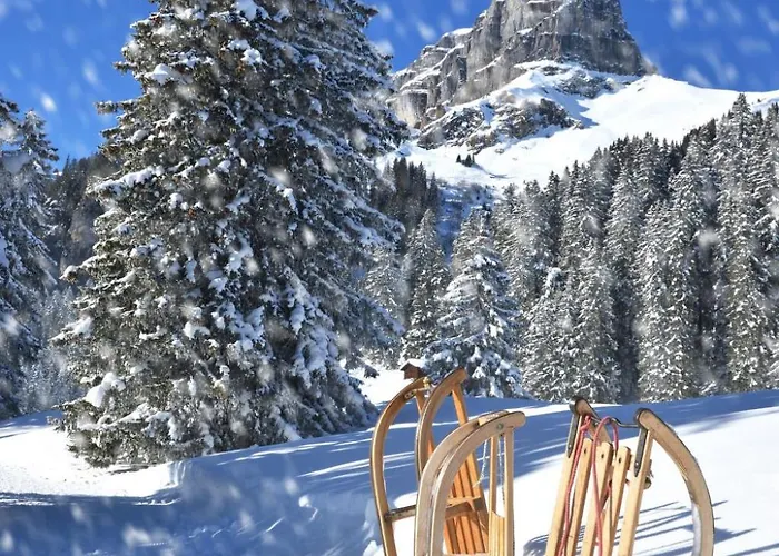 Seewiese Apt- 103 By Interhome Appartement